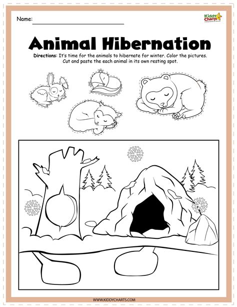 Free Hibernation Worksheets